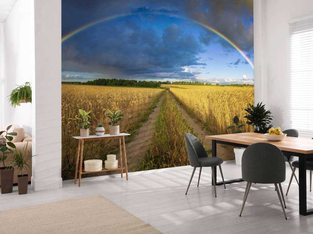 Arco iris sobre un campo de trigo