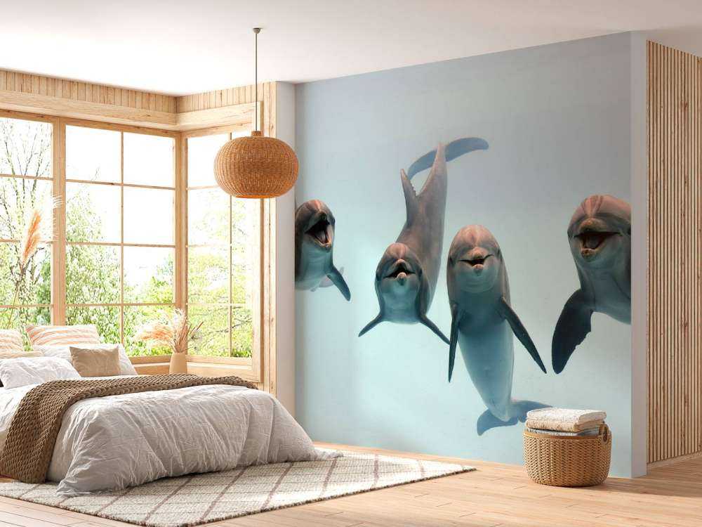 Delfines que ríen