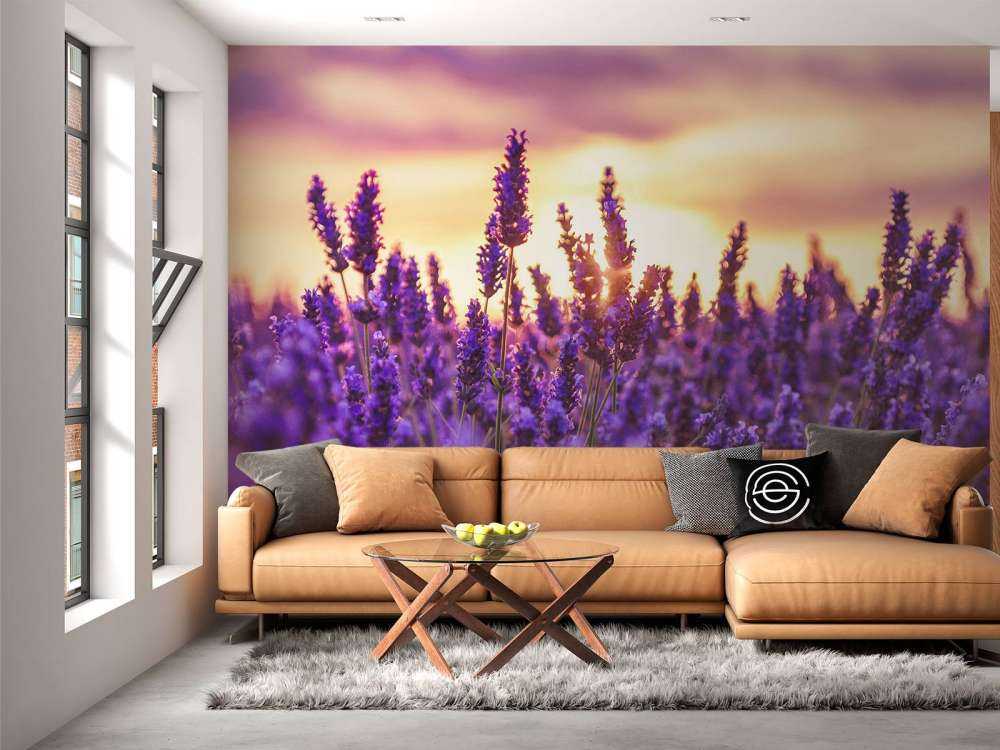 Flores de lavanda