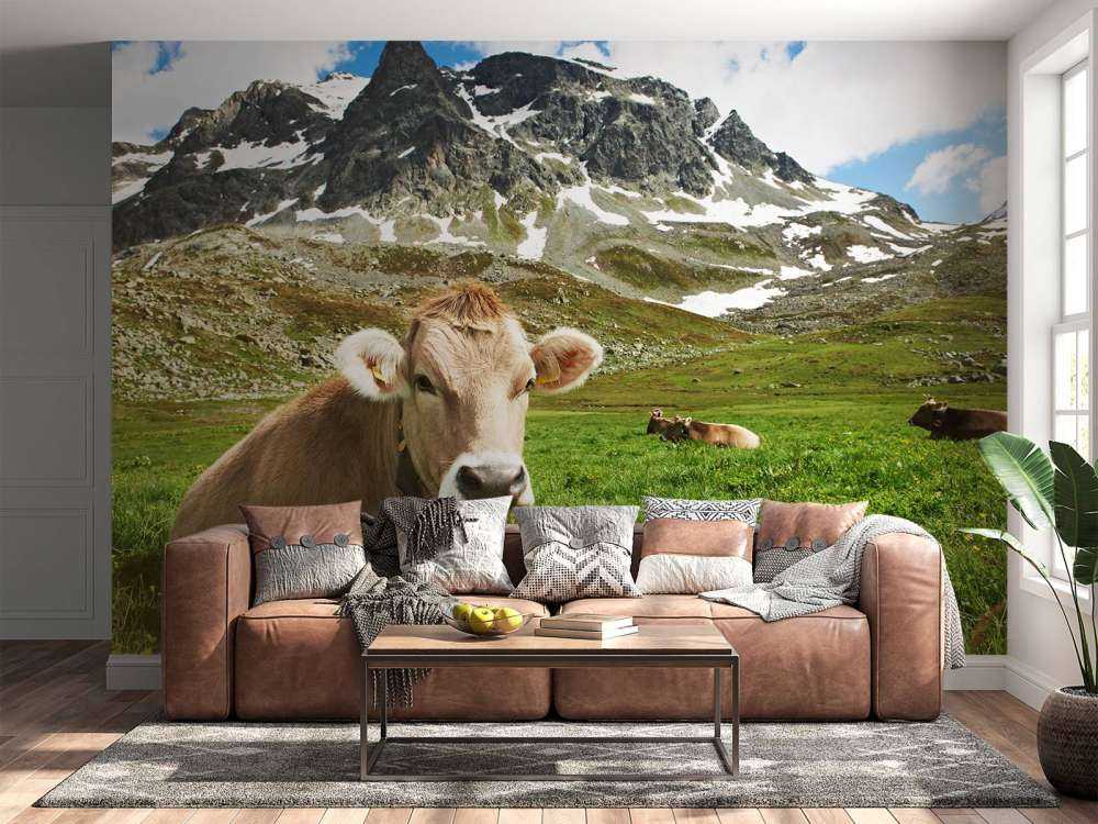 Vaca austriaca