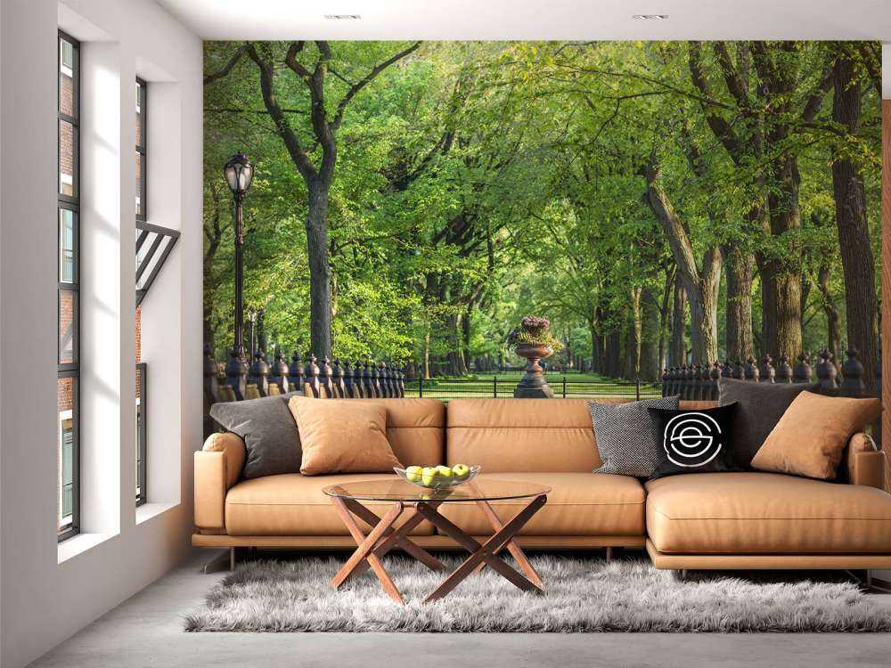 Sendero en Central Park