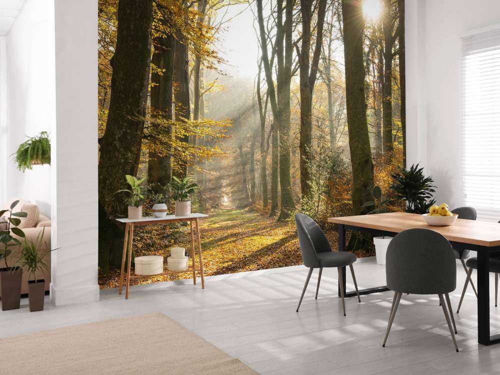 El bosque de Crécy