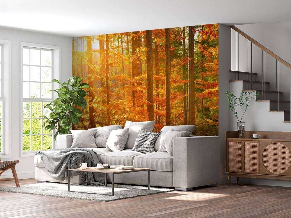 Bosque otoñal
