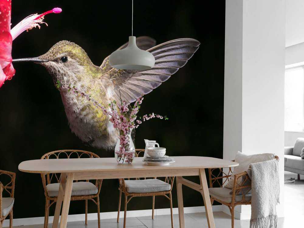 Colibrí con flor roja