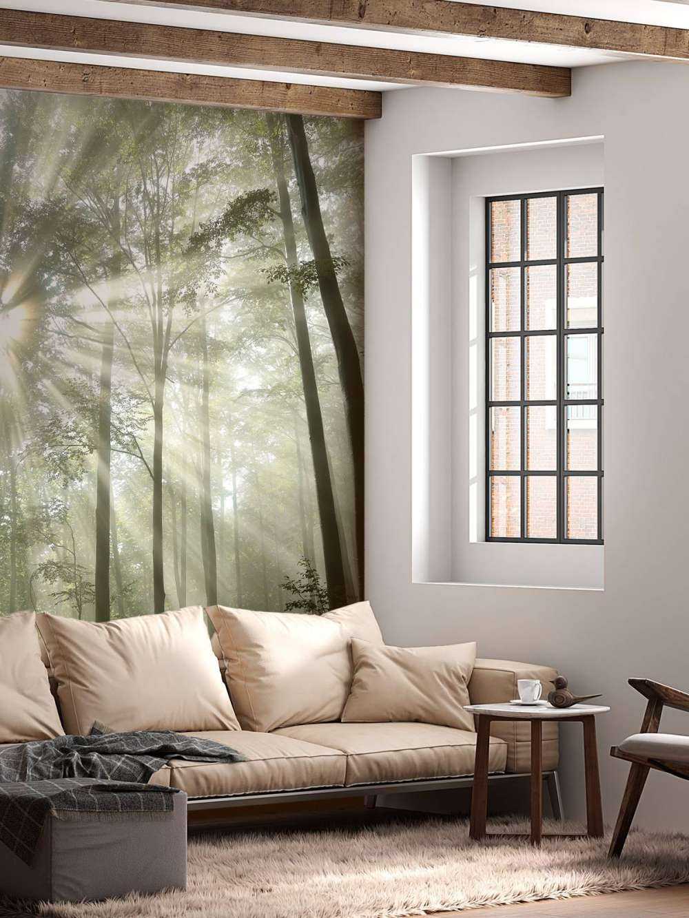 Bosque con niebla