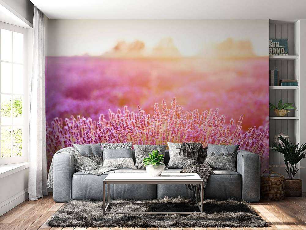 Primer plano de flores de lavanda