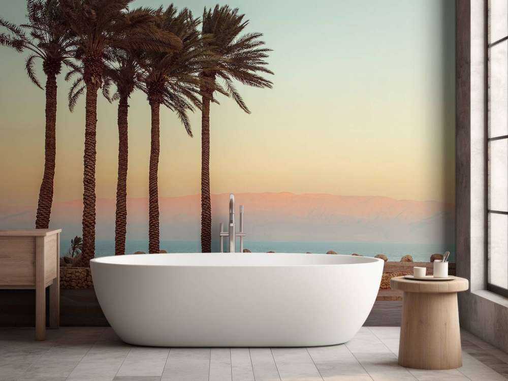 Palmeras al atardecer