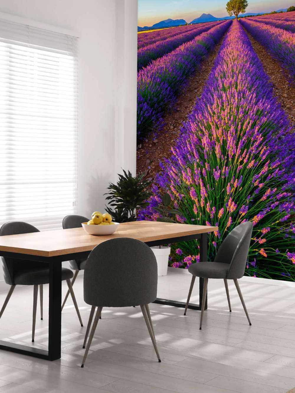 Lavanda a la luz del sol