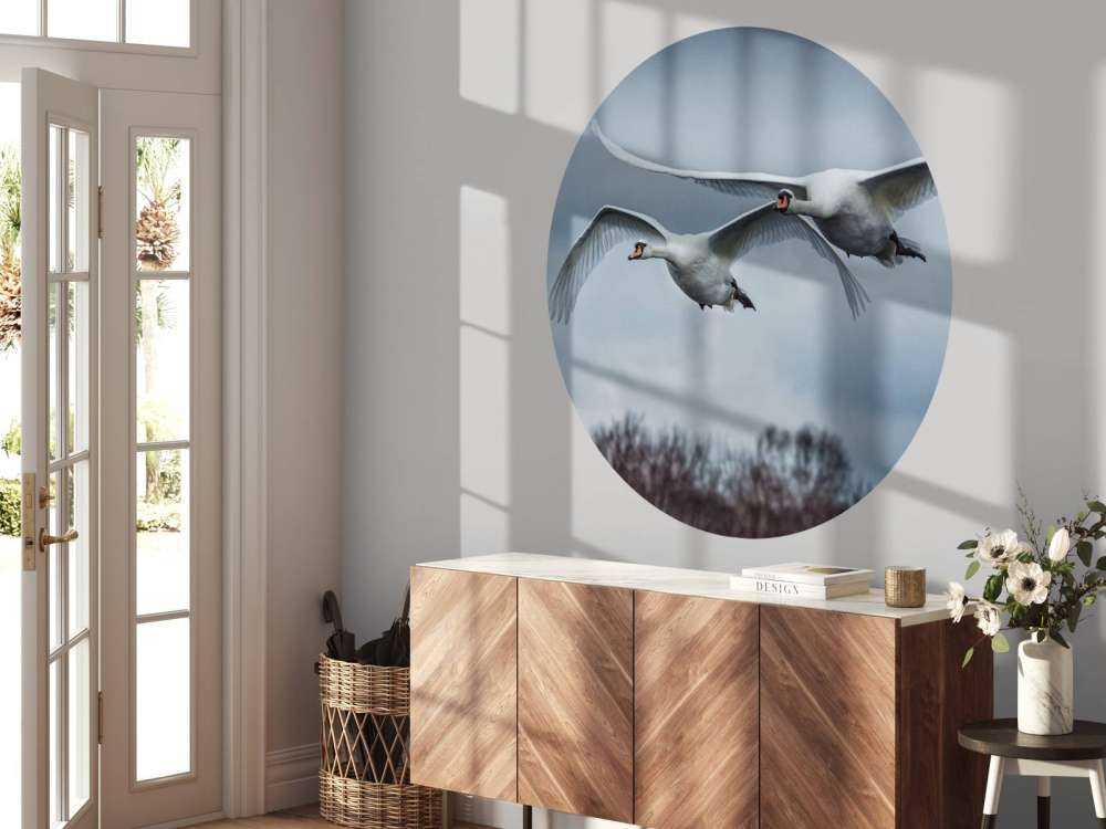 Cisnes volando