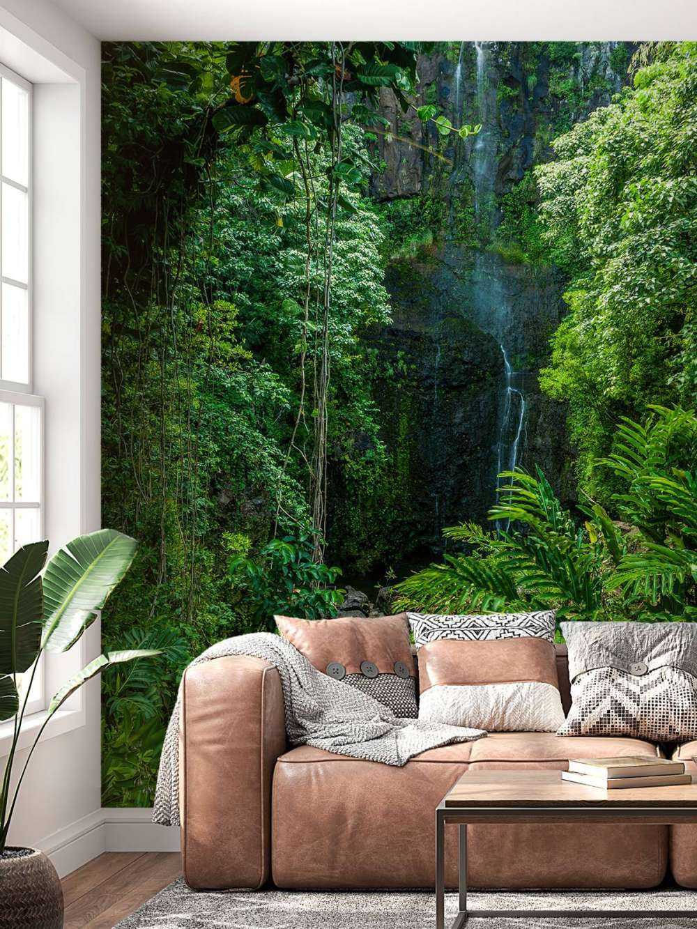 Selva y piedras