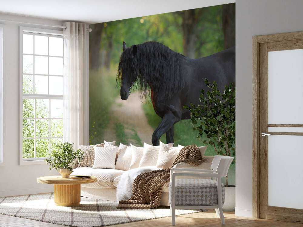 Unicornios dibujados