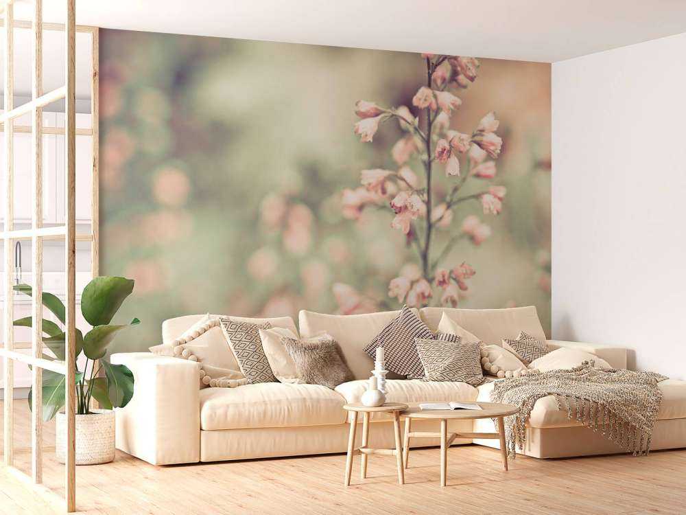 Heuchera