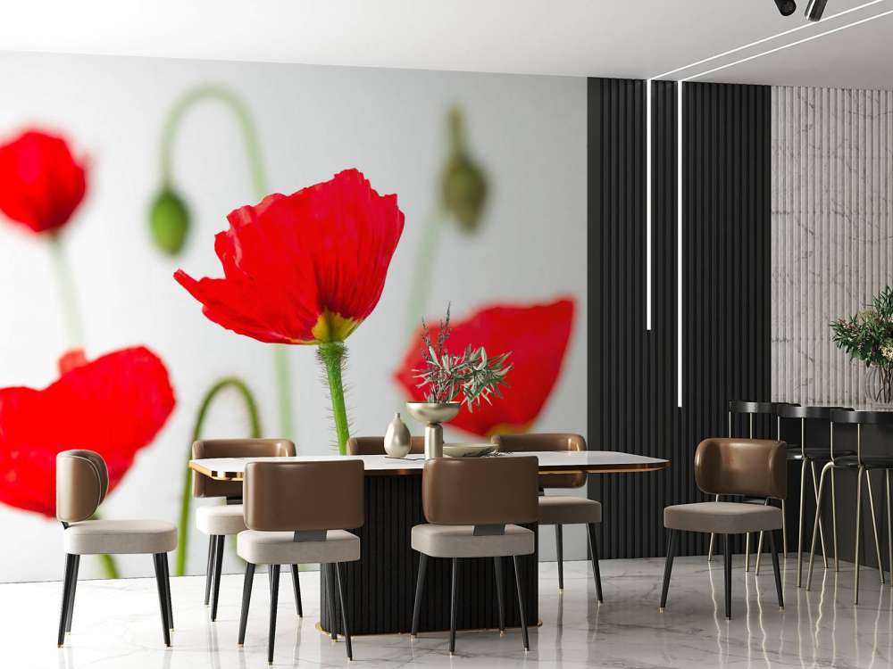 Primer plano de amapolas rojas