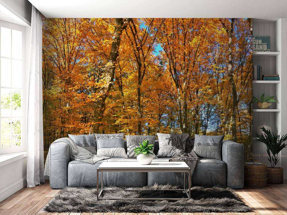 Otoño en el bosque
