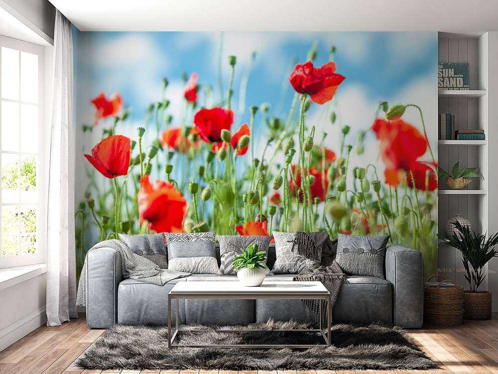 Campo con amapolas