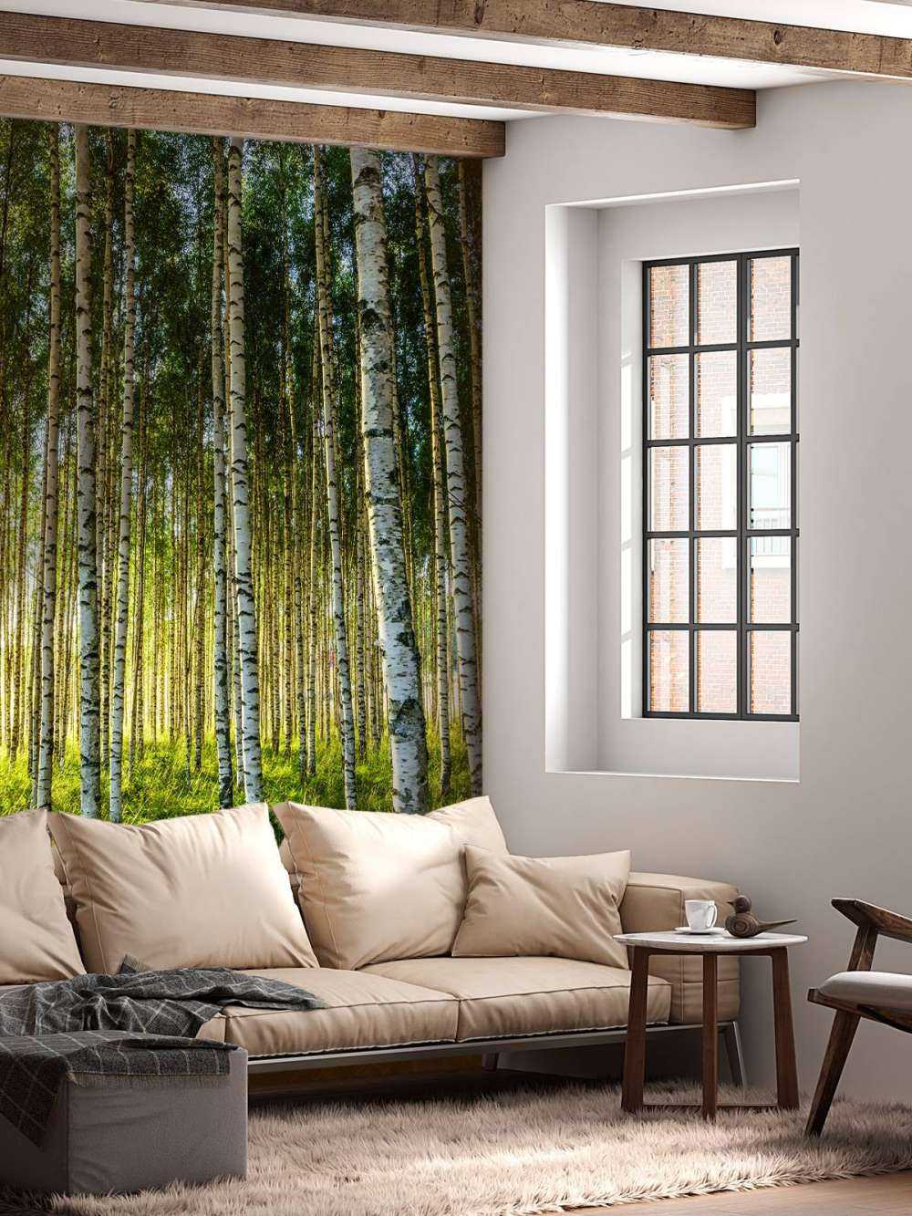 Bosque de abedules de verano