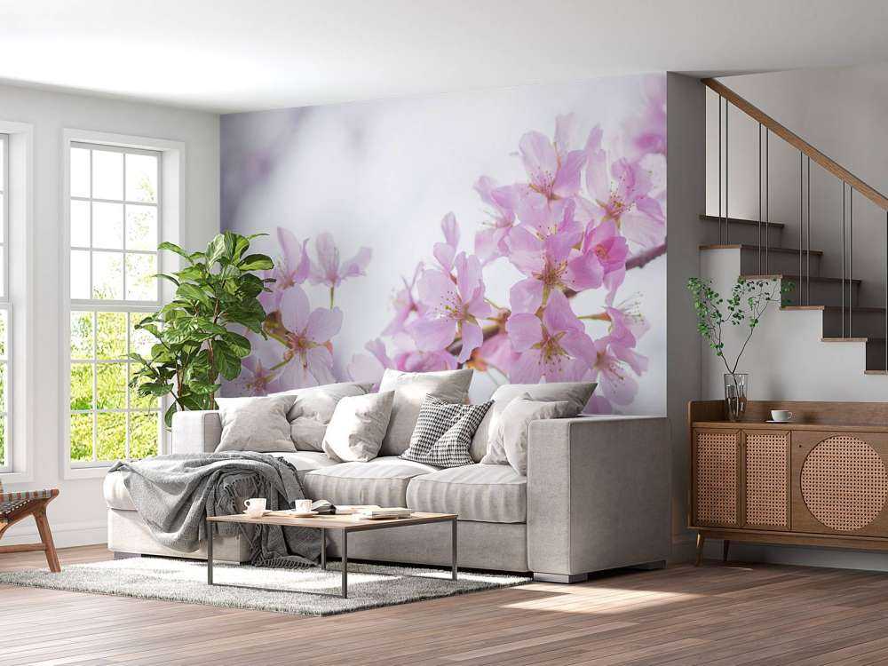 Primer plano de la flor