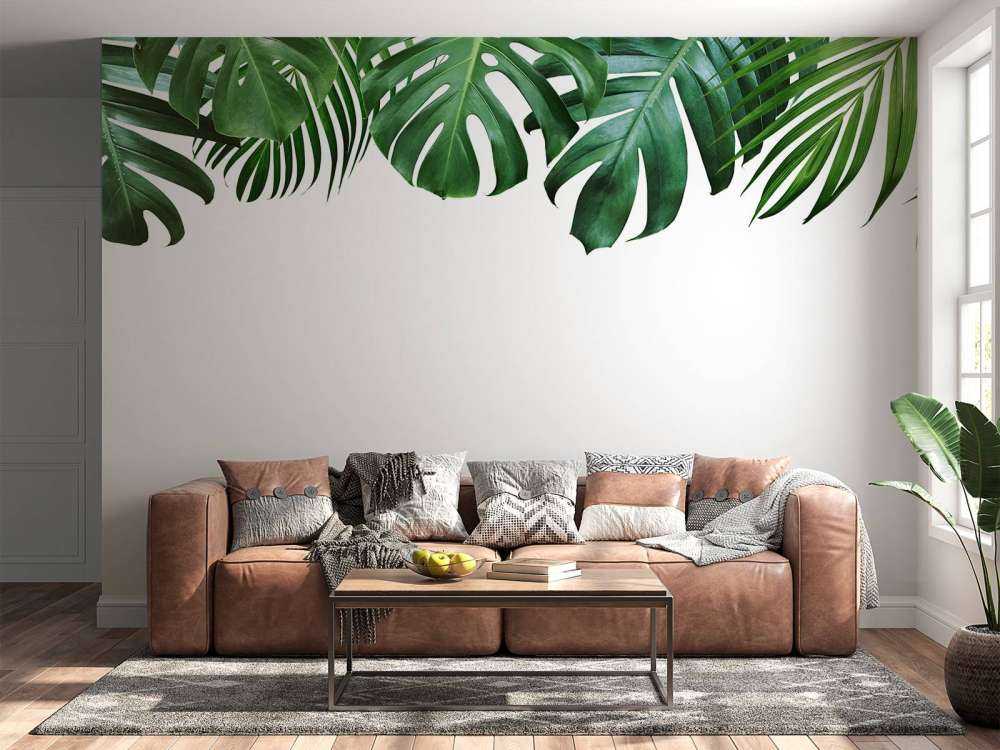 Plantas tropicales