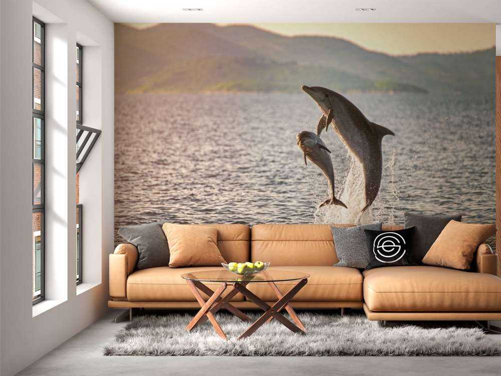 Dos delfines saltadores