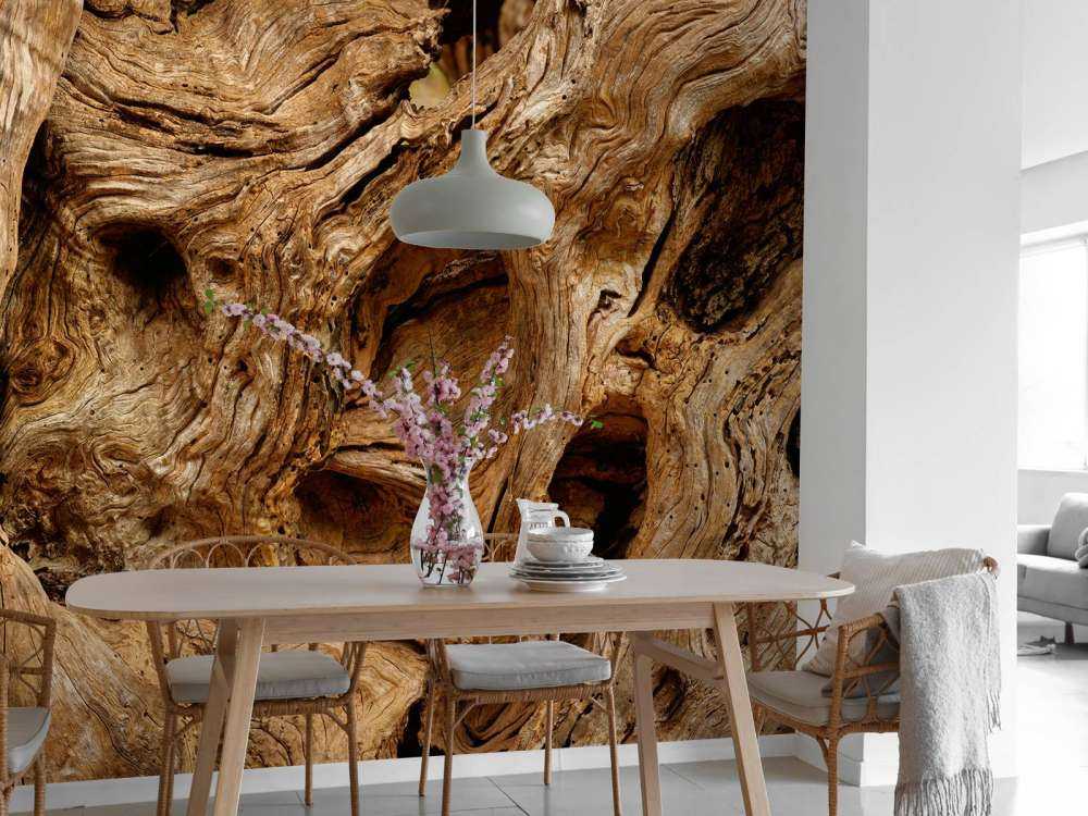 Primer plano de un árbol viejo