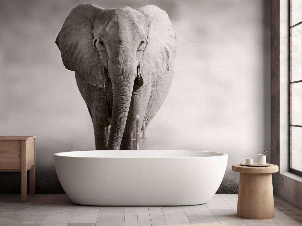 Hermoso elefante