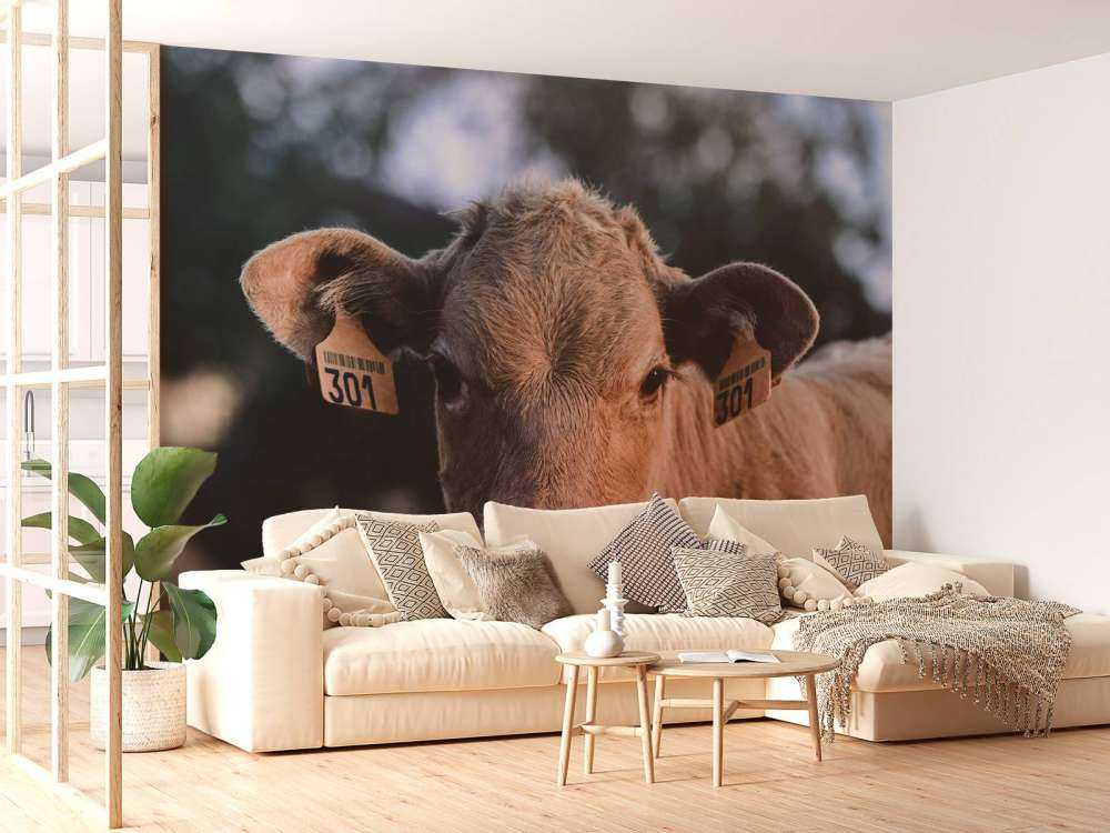 Primer plano de una vaca