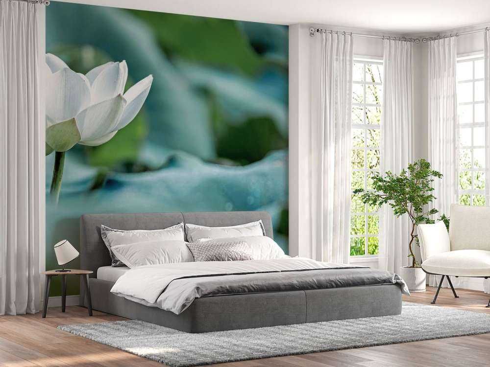 Flor de loto blanca