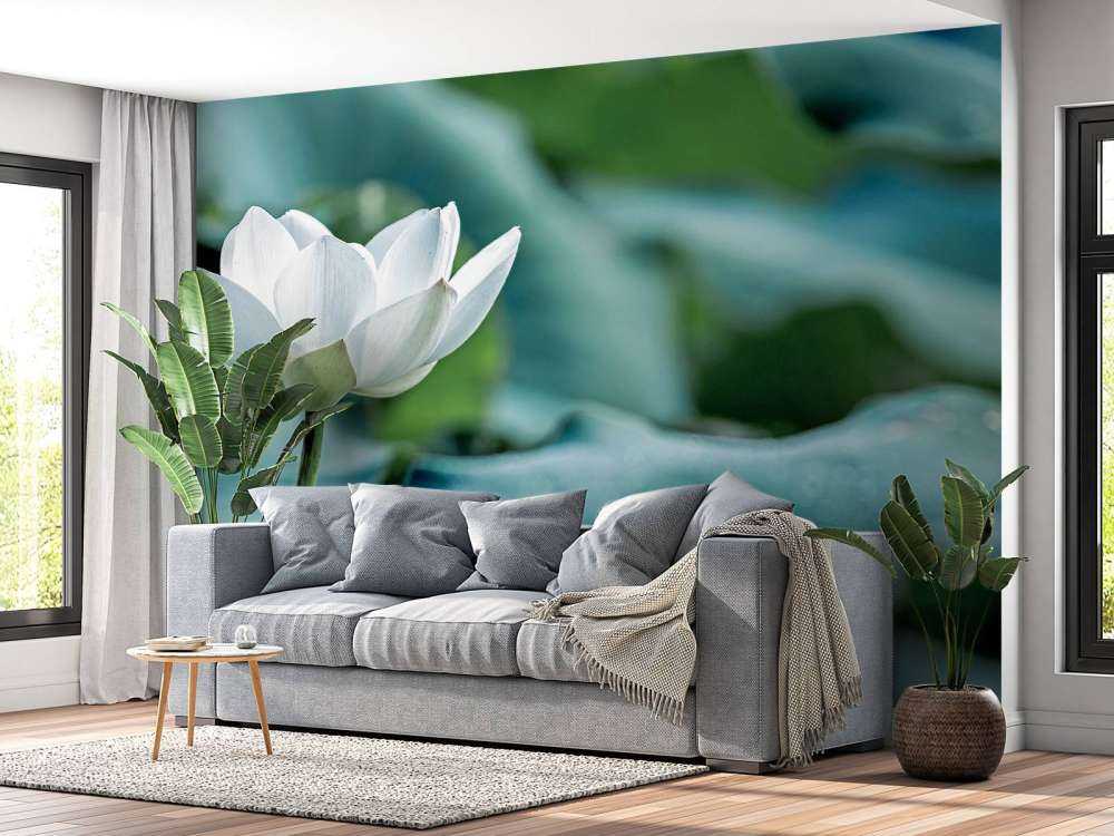 Flor de loto blanca