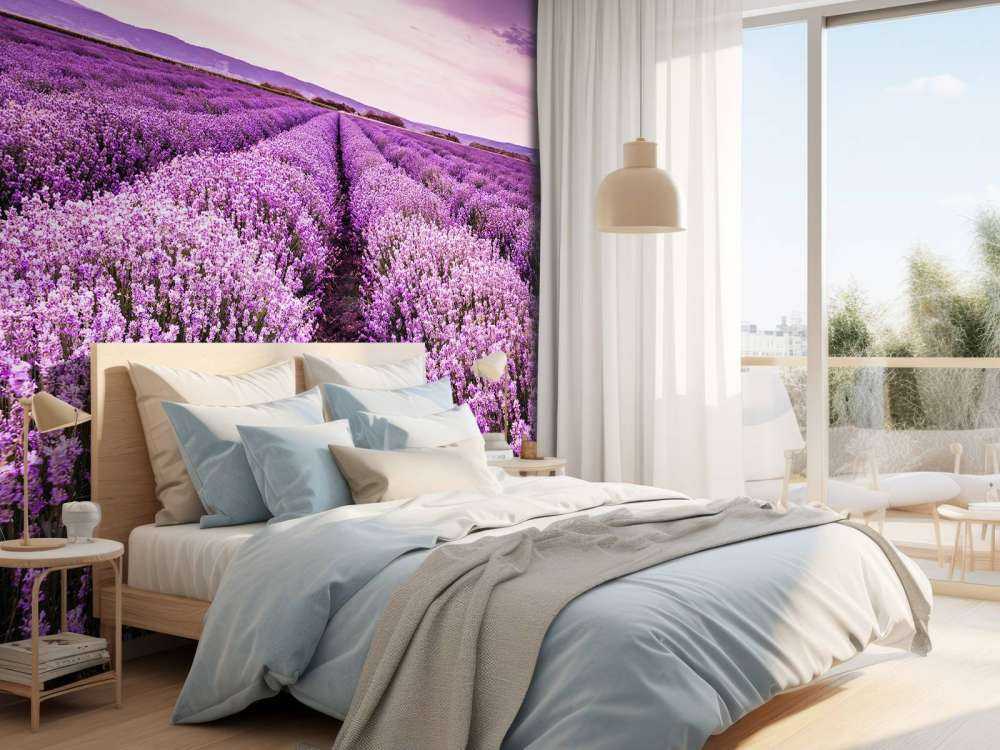 Arbustos de lavanda
