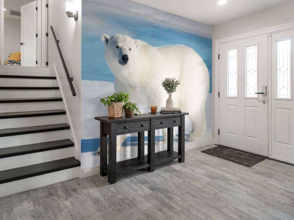 Oso polar
