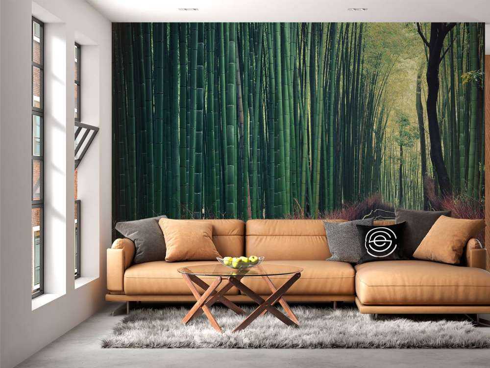 Bosque de bambú