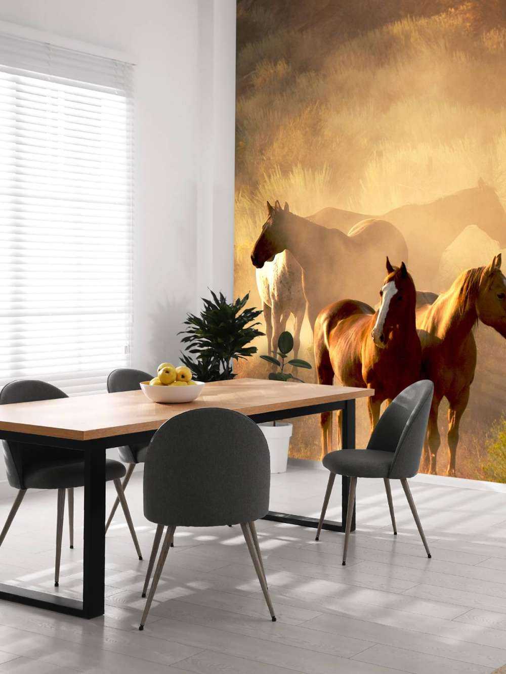 Caballos durante una puesta de sol