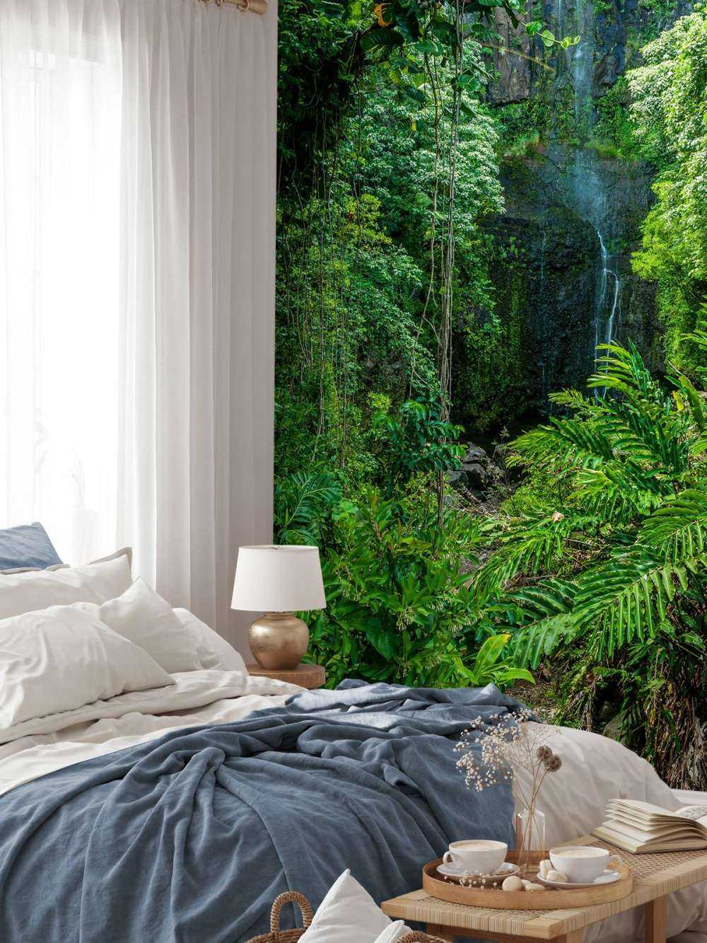 Selva y piedras