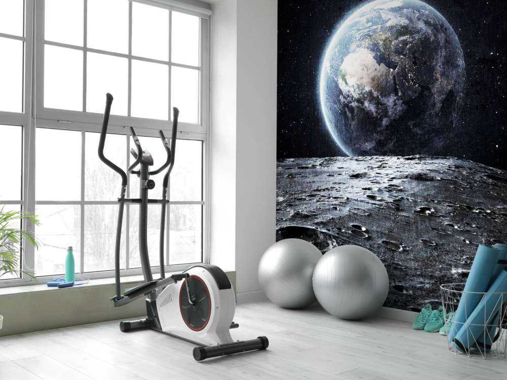 La luna y la tierra