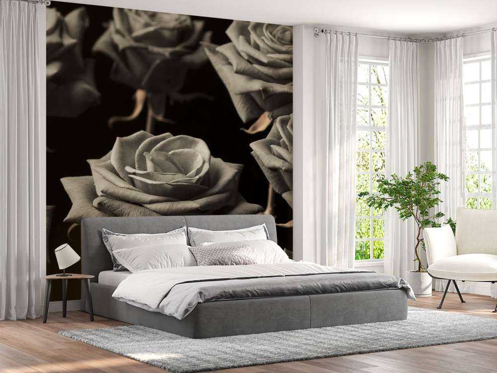 Rosas sepia