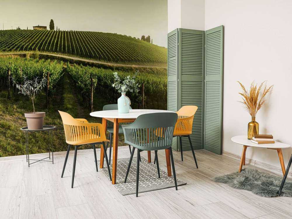Viñedo de la Toscana