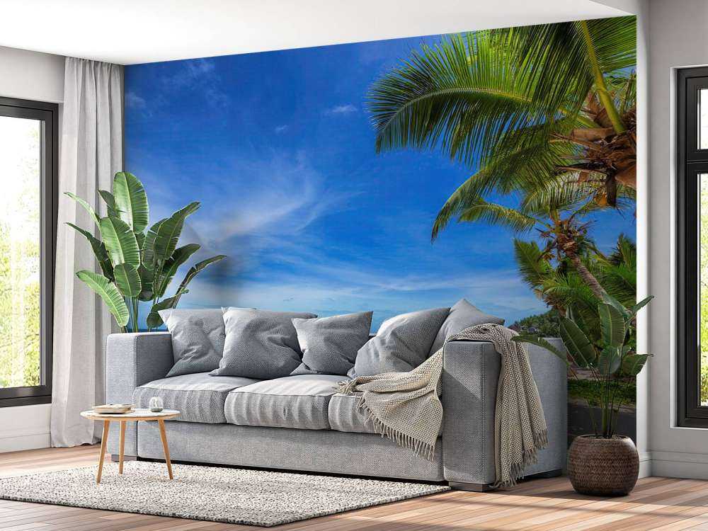 Playa tropical con palmera