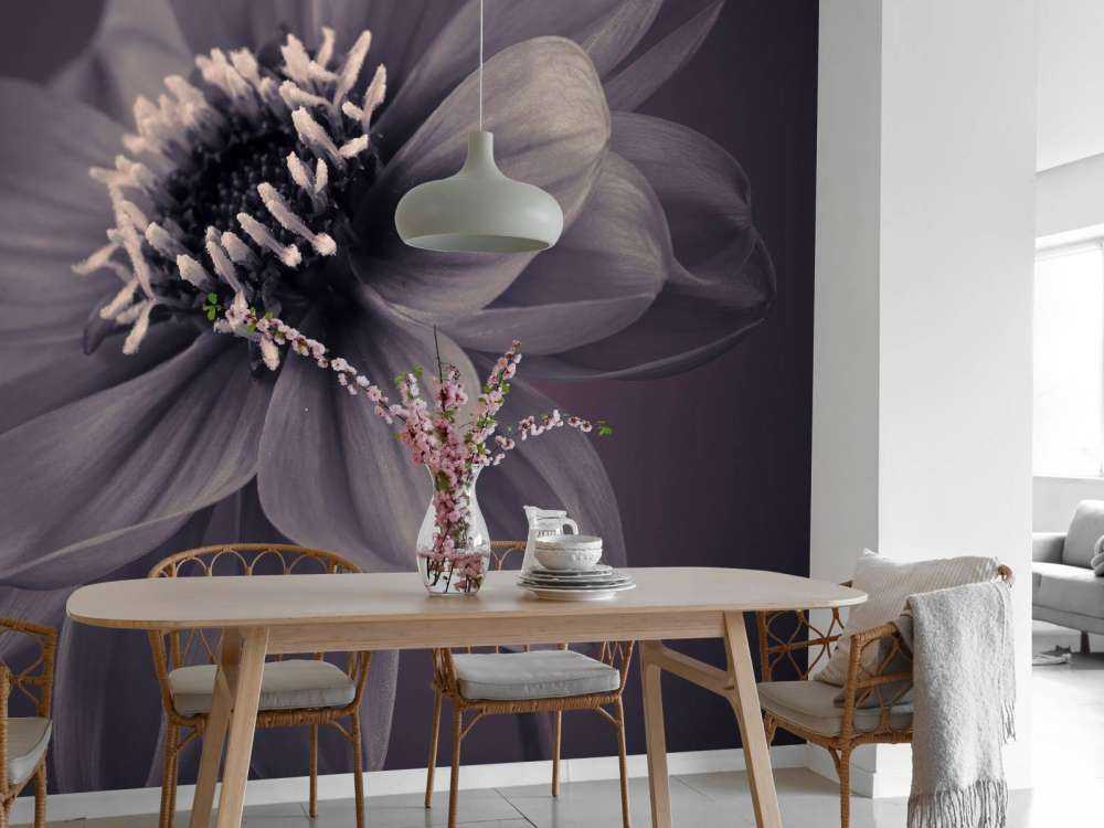 Flor de dalia oscura