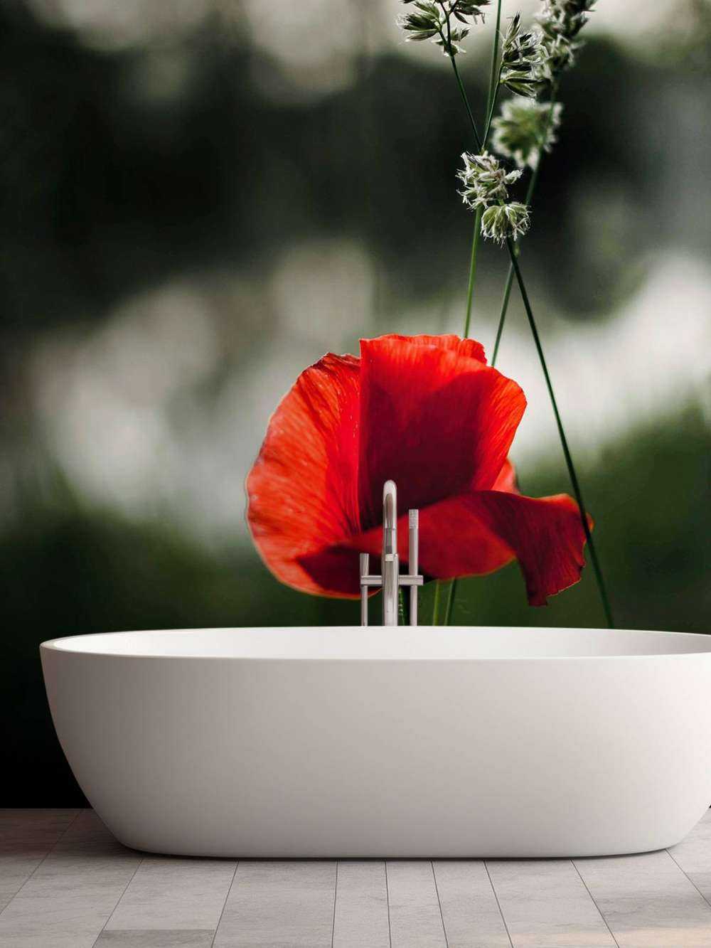 Amapola roja con hierba