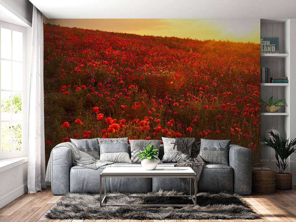Amapolas en una colina