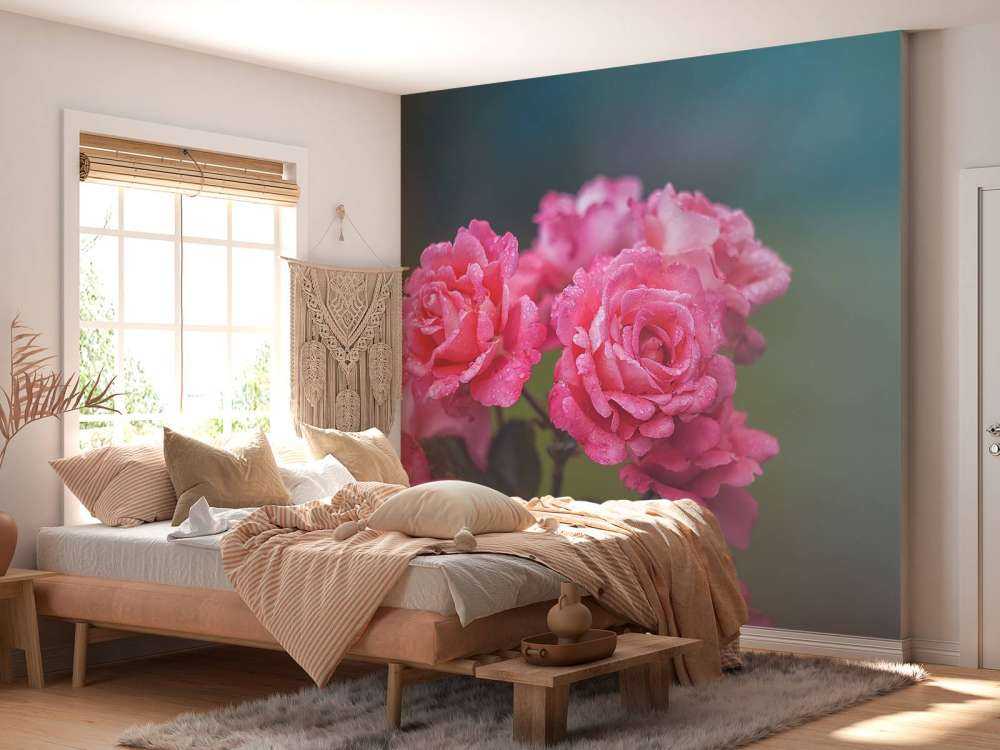 Rama de rosa rosa