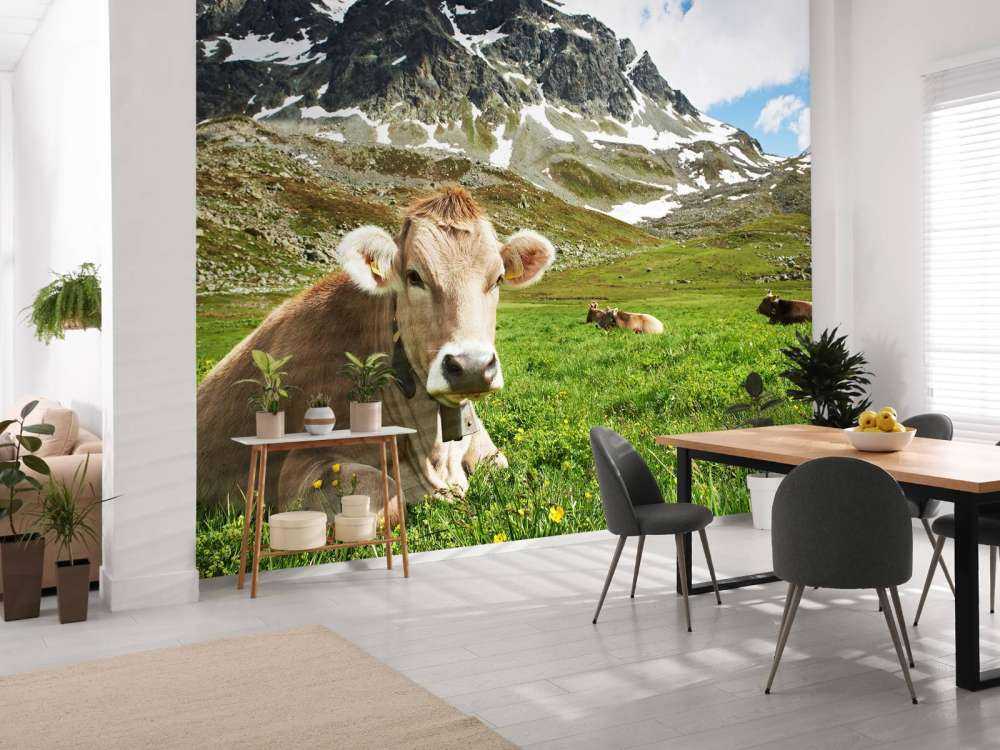 Vaca austriaca