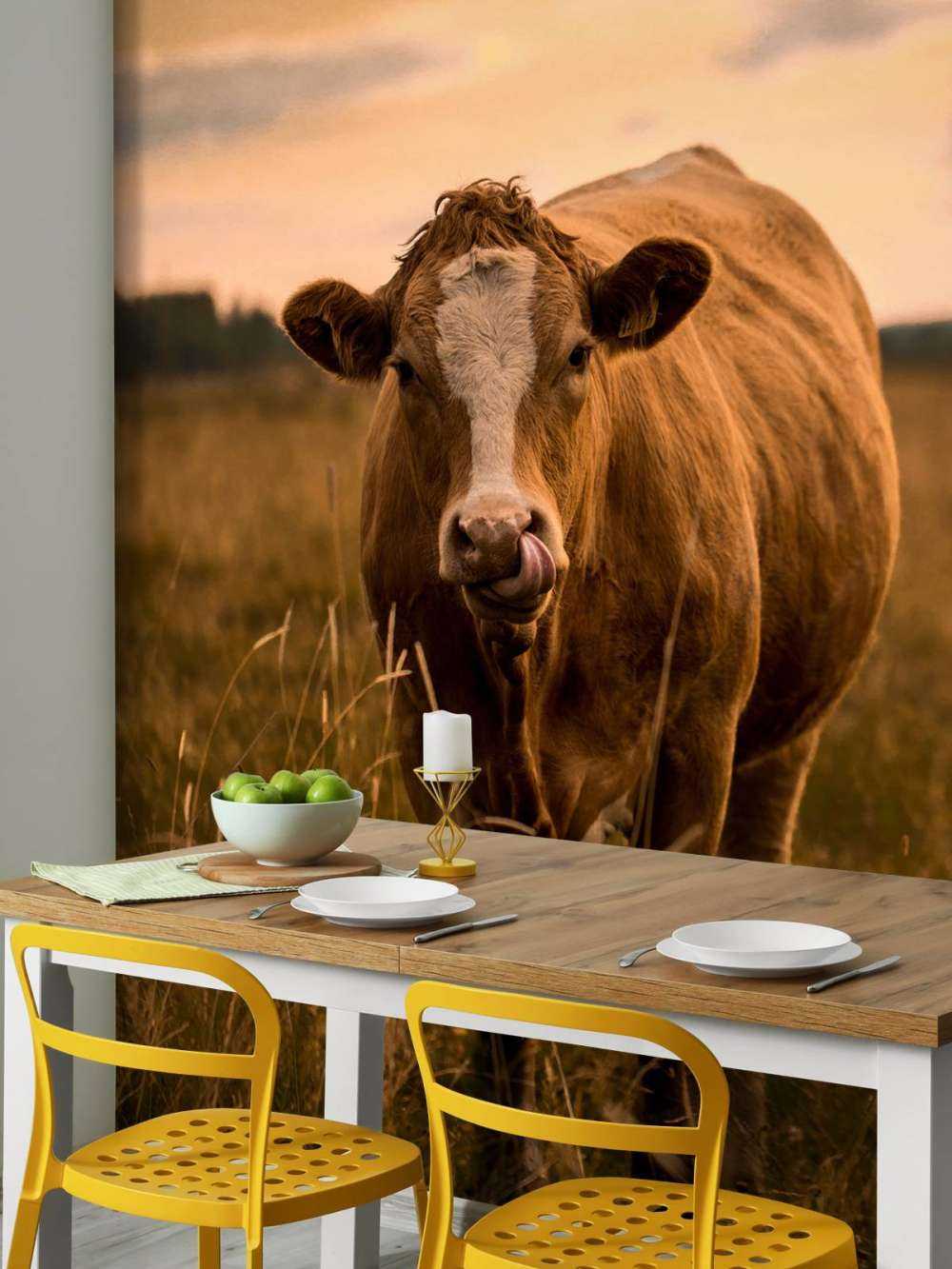 Vaca con lengua en la nariz