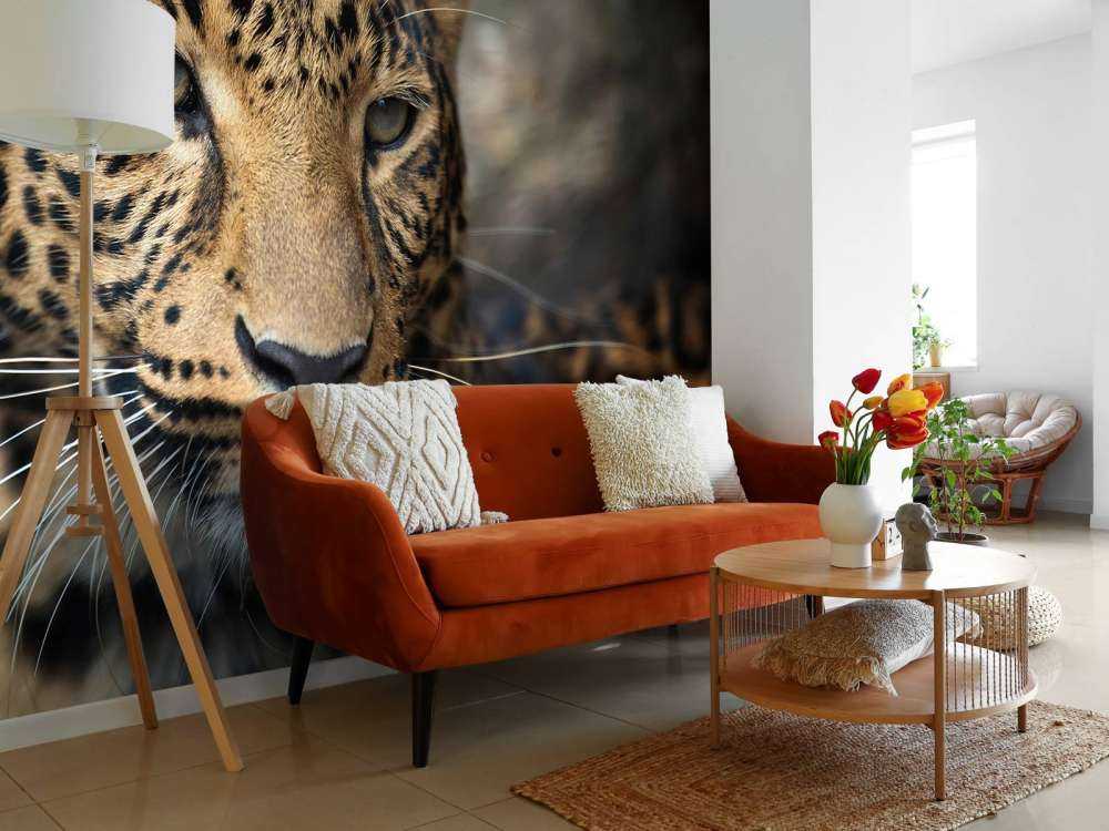 Primer plano de un leopardo