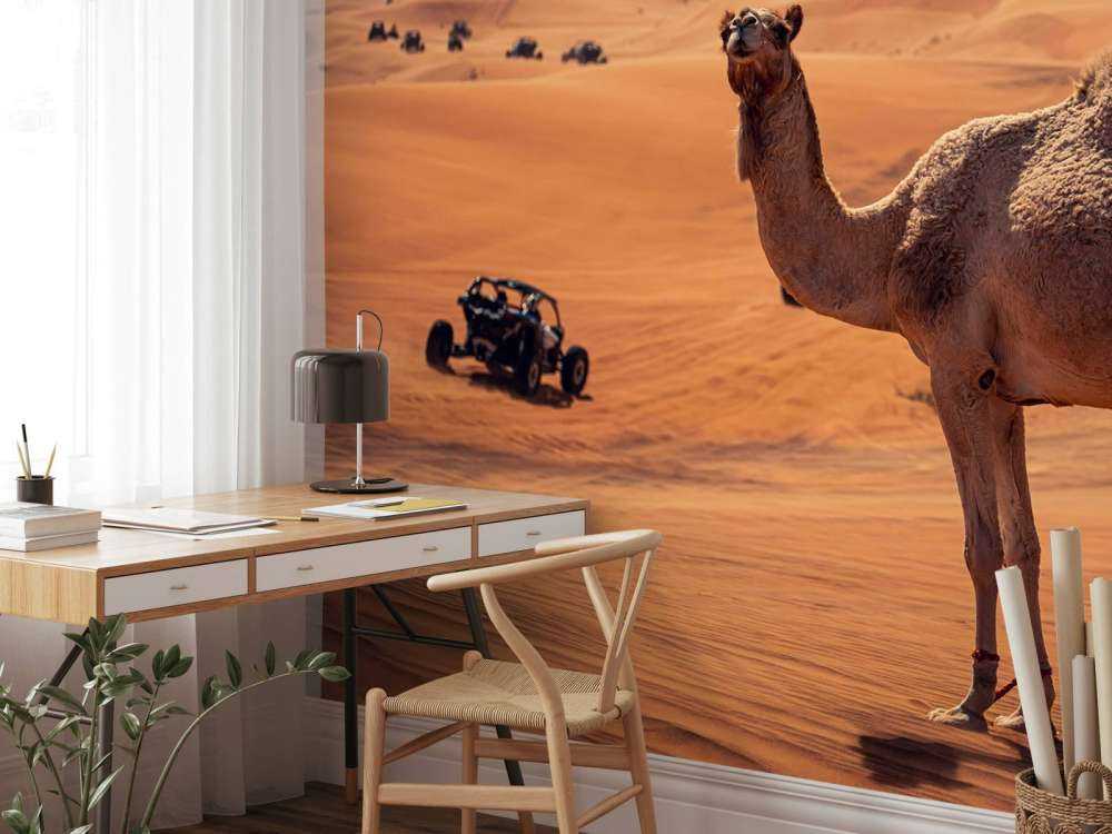 Aventura todoterreno en el desierto