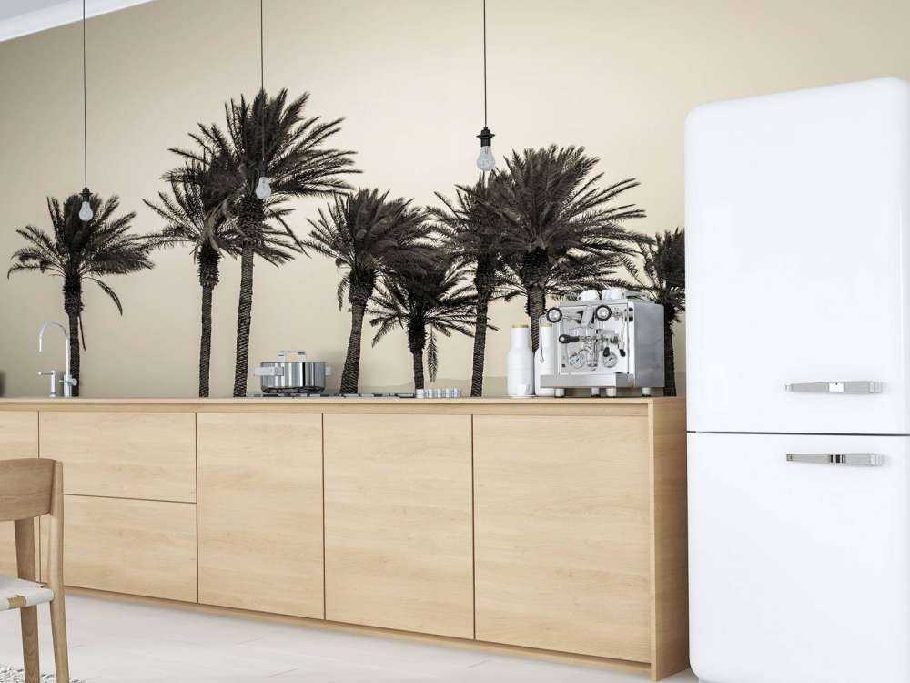 Palmeras en blanco y negro
