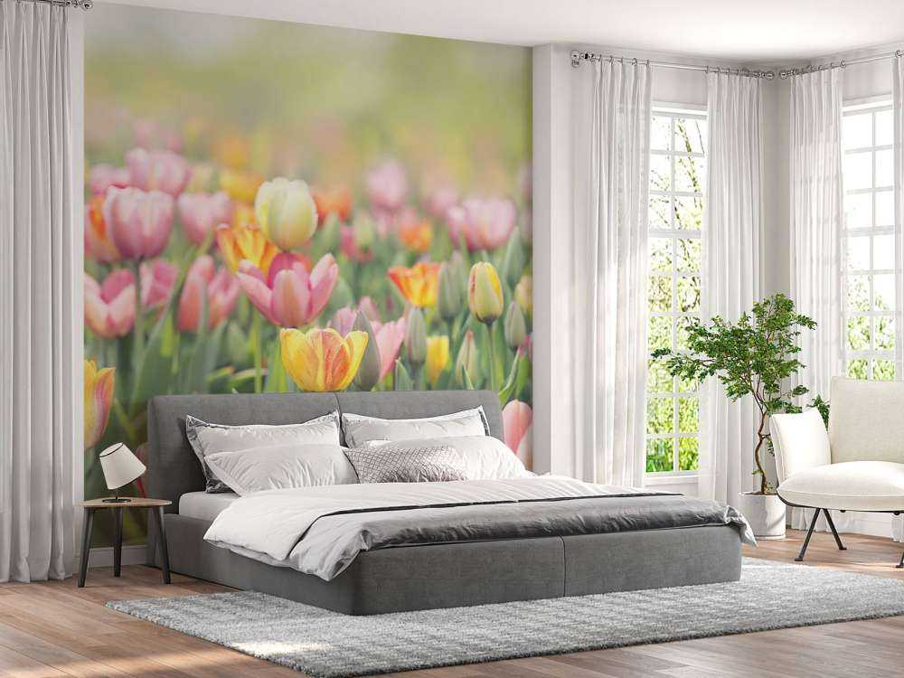 Tulipanes de colores