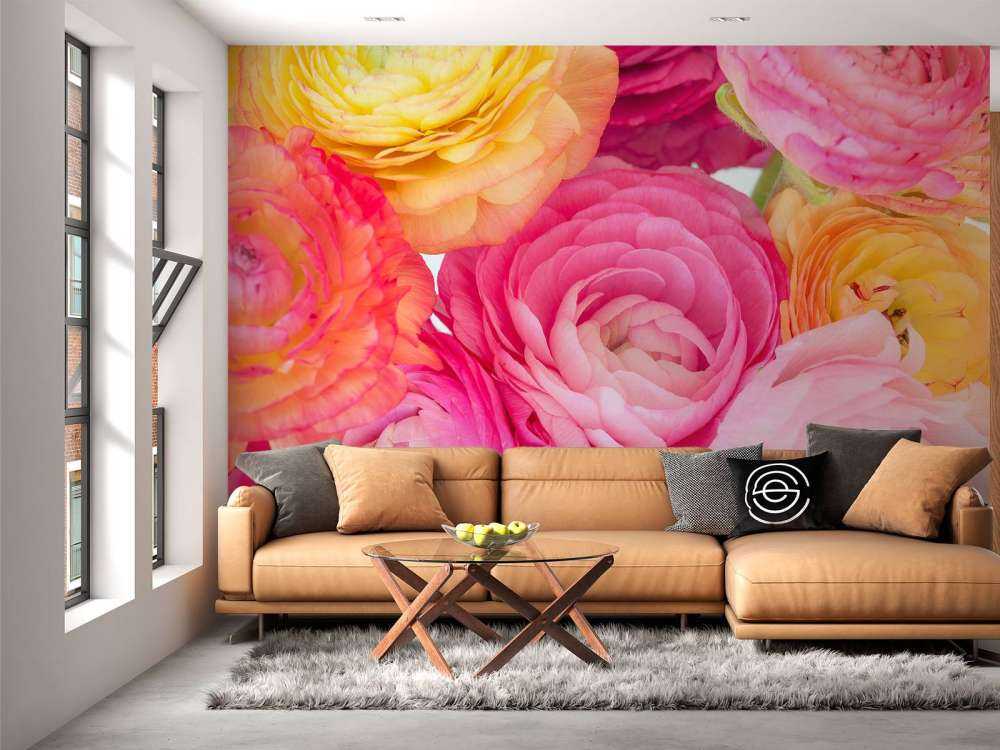 Ranunculus