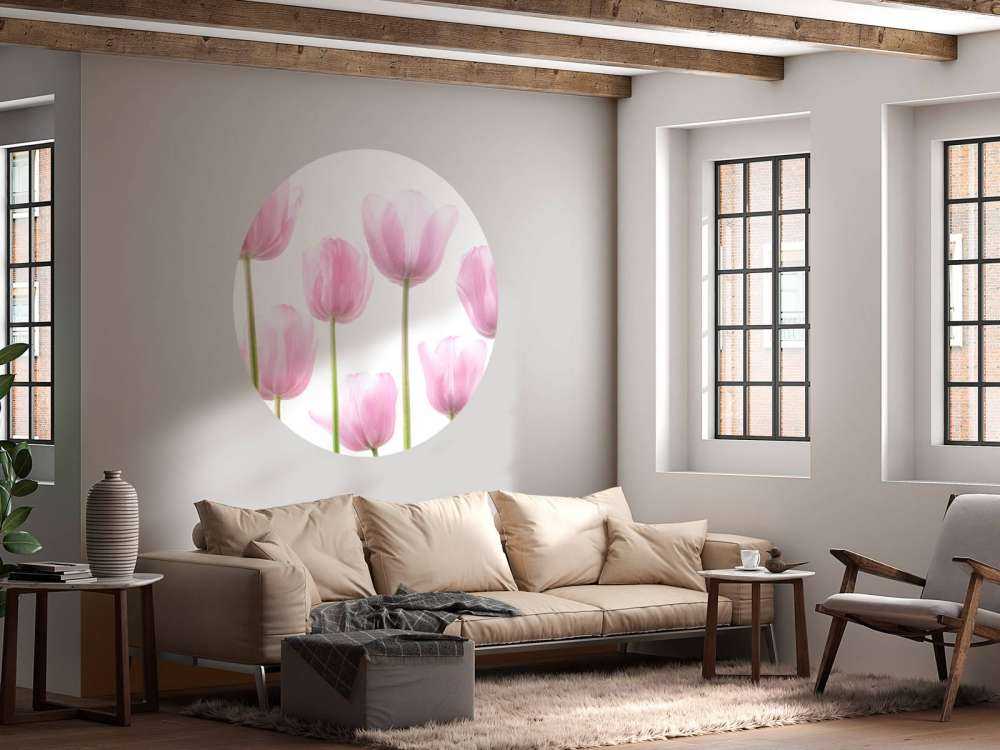 Tulipanes rosas