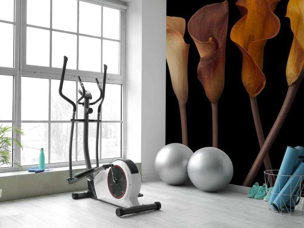 Lirios Calla
